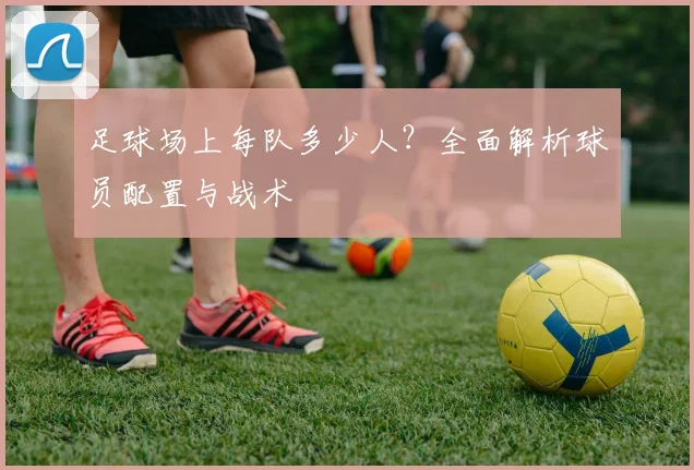 足球场上每队多少人？全面解析球员配置与战术